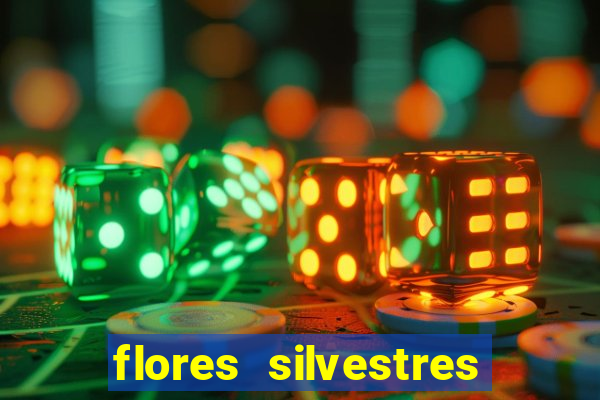 flores silvestres desbravadores desbravadores 25